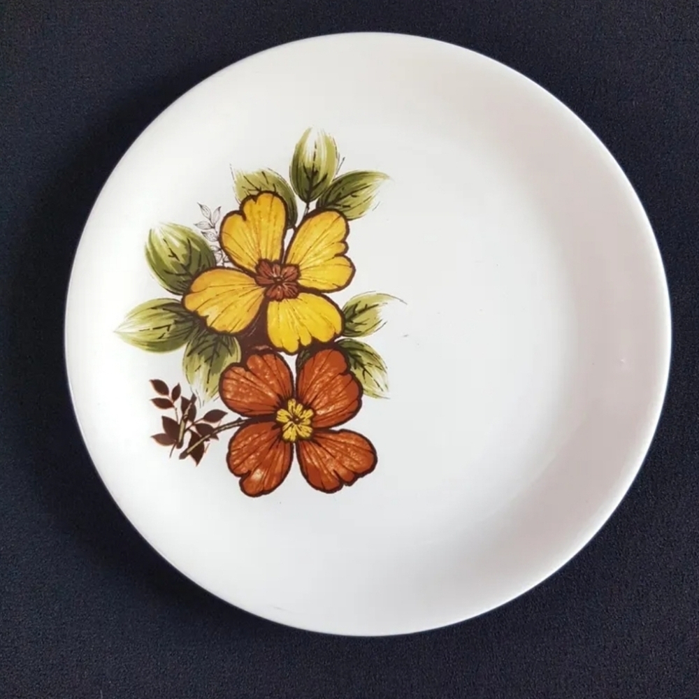 6pc Myott Ironstone Ware WOODSTOCK Dessert Plate Set
